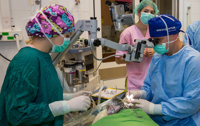 Szemműtét, operációs mikroszkóp alatt. A mikrosebészeti szemműtét végig az operációs mikroszkóp látóterének erős nagyítása alatt történik.